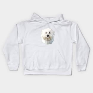 Coton De Tulear Kids Hoodie